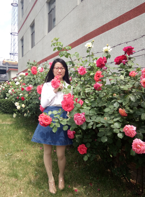 1495184955139586.png 1495184955139586.png